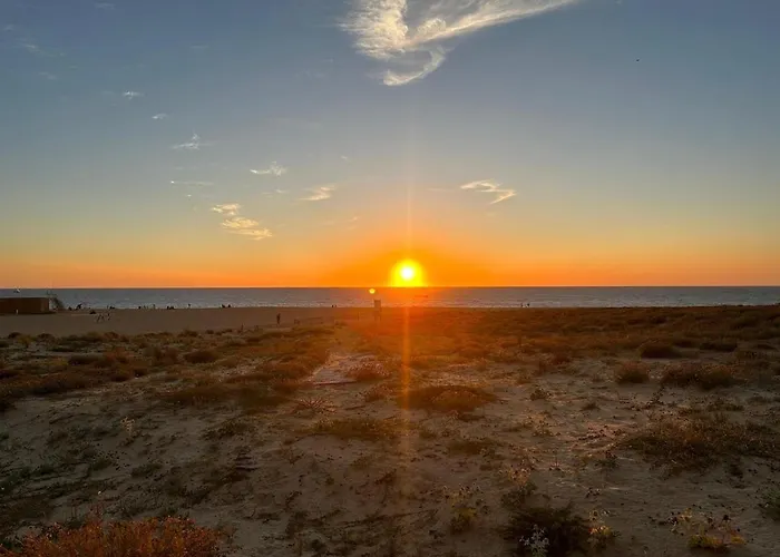 Cosy Des Landes Tatil Evi